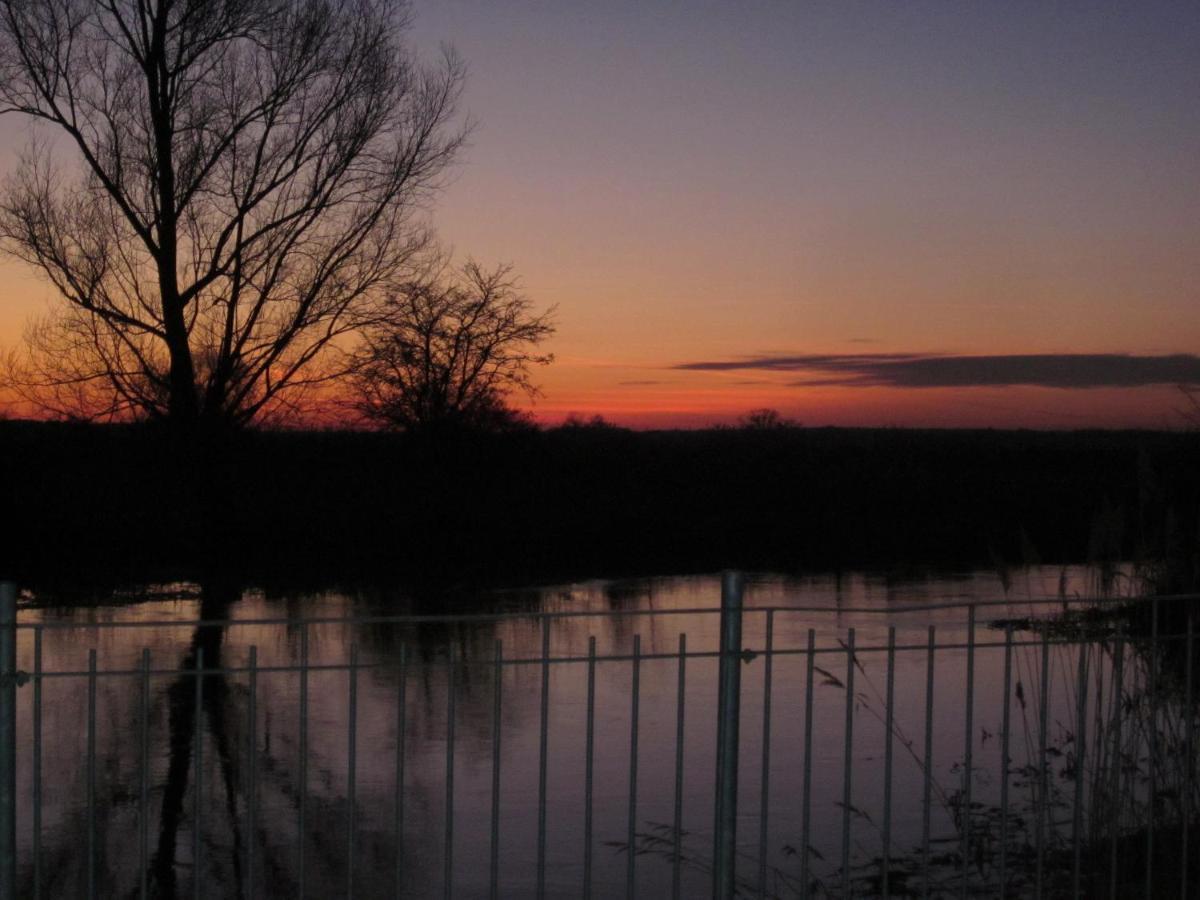 Pension "Zum Schwan" Muhr am See Exterior foto